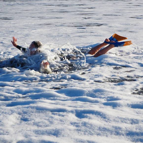 Meet your Posher, Maddie - Picture 1 of 1